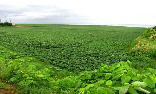 اراضي-ارشيفية