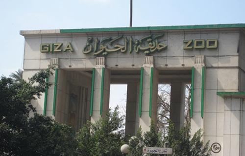 تحالف “مصرى – أجنبى” يعرض تطوير “حديقة الحيوان بالجيزة” بحق الانتفاع
