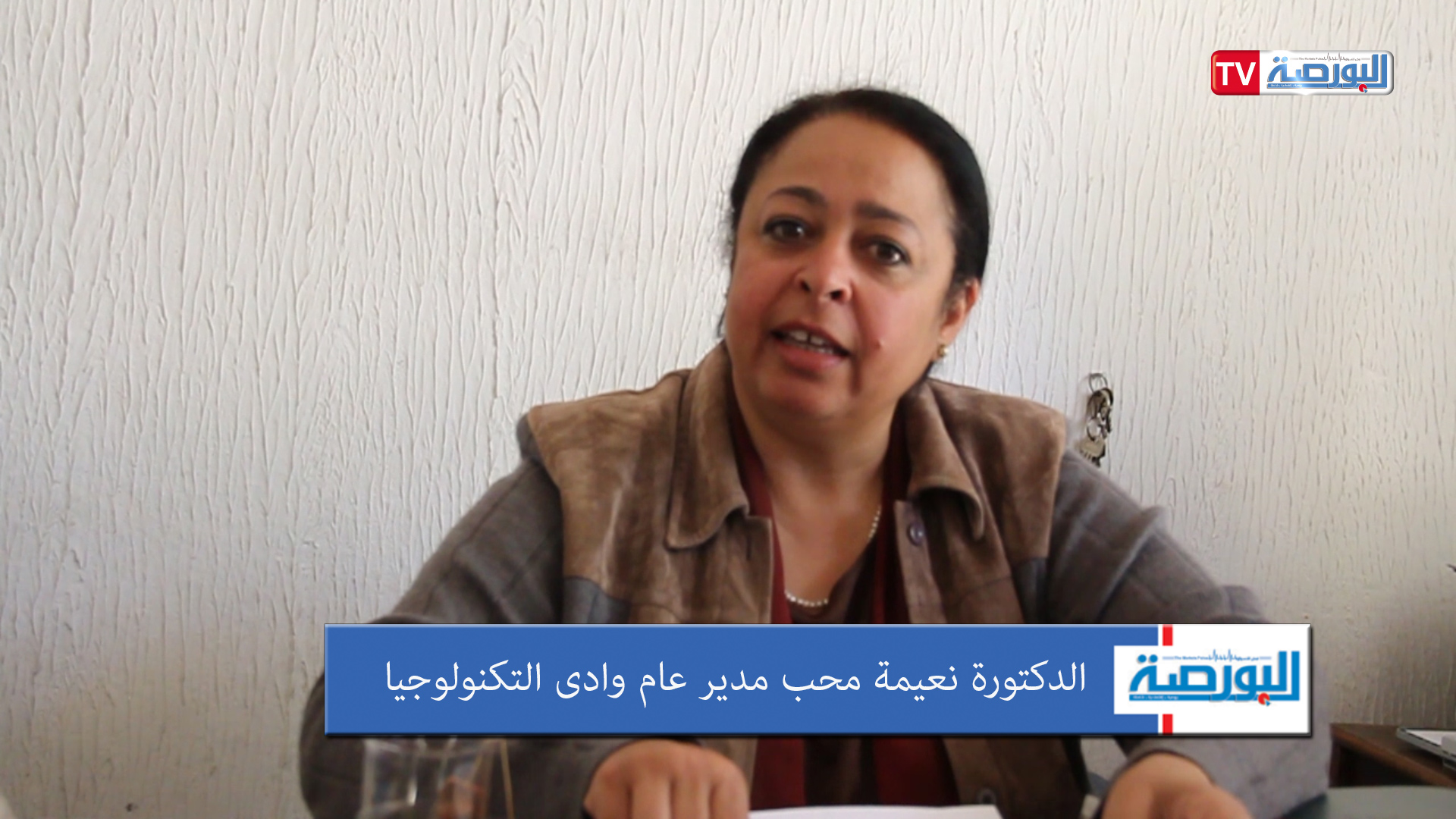 بالفيديو..مدير وادى التكنولوجيا : نستهدف الوصول لمحور لوجستي صناعى عالمى ..و صنع فى مصر