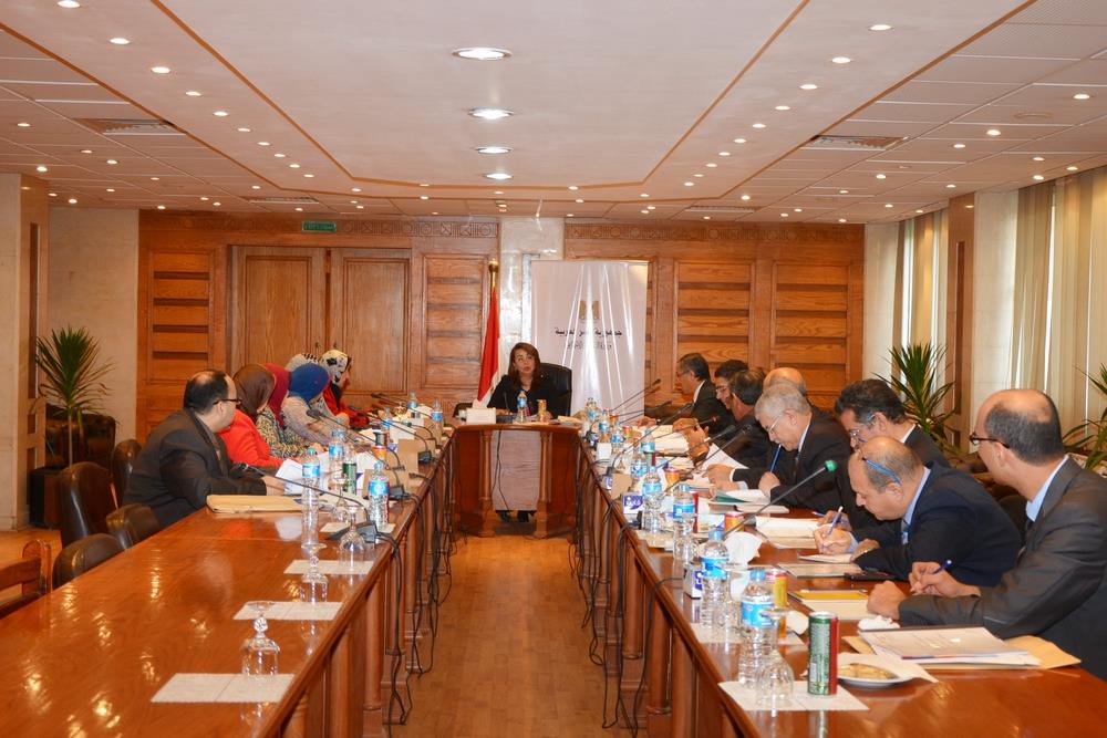 صندوق نظام تأمين الأسرة