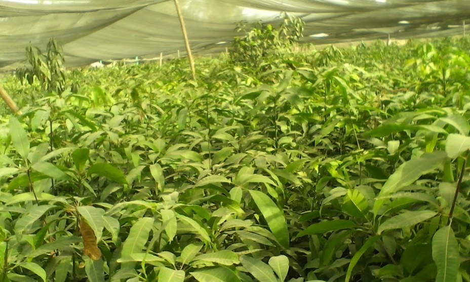 “نهر الخير” تخطط لزيادة مبيعاتها في قطاع الخدمات البيئية لـ 25 مليون جنيه العام الحالى