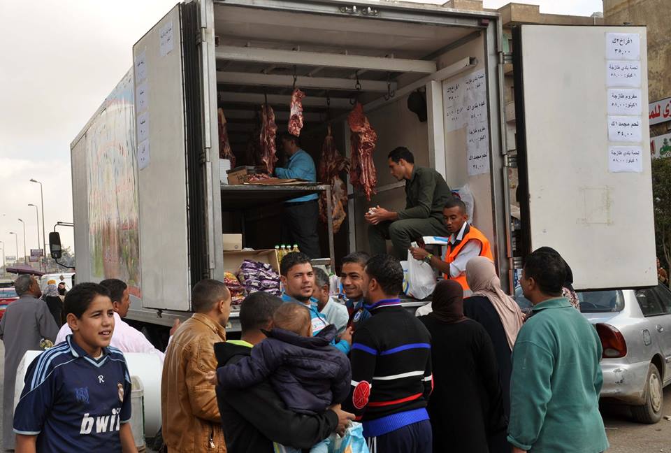 1100 رأس ماشية من أسبانيا للطرح فى المجمعات الاستهلاكية