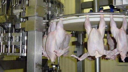 أصحاب المجازر يطالبون بخطة عاجلة لإنقاذ استثماراتهم من الخسائر