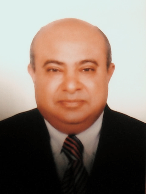 “الفرعونية” تسند تأمين مصنع ملابس جاهزة لـ”AIG” و”أليانز” بإجمالى 548 مليون جنيه