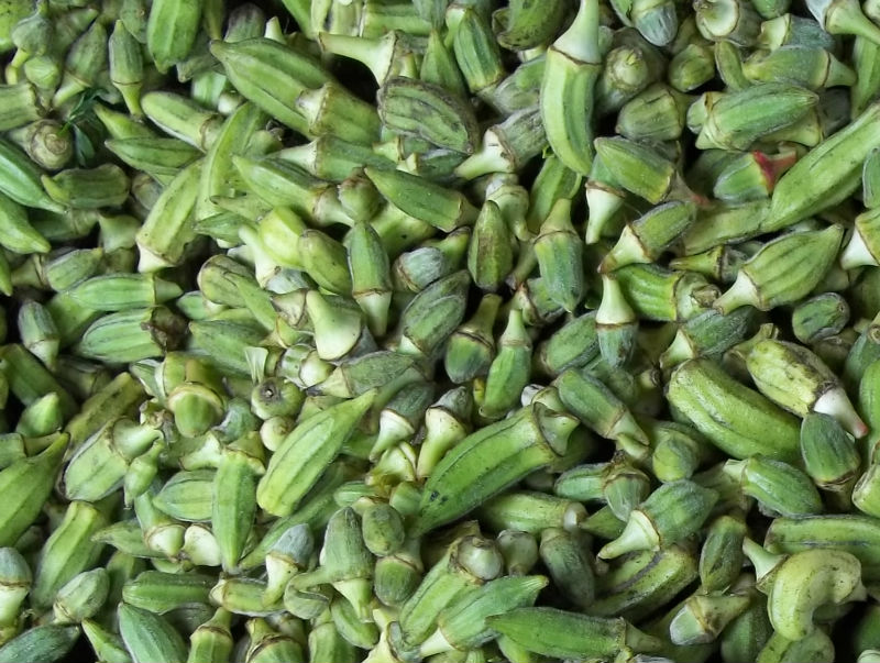 أسعار بشاير “الباميه” تصل لـ 40 جنيه للكيلو بأسواق الخضروات