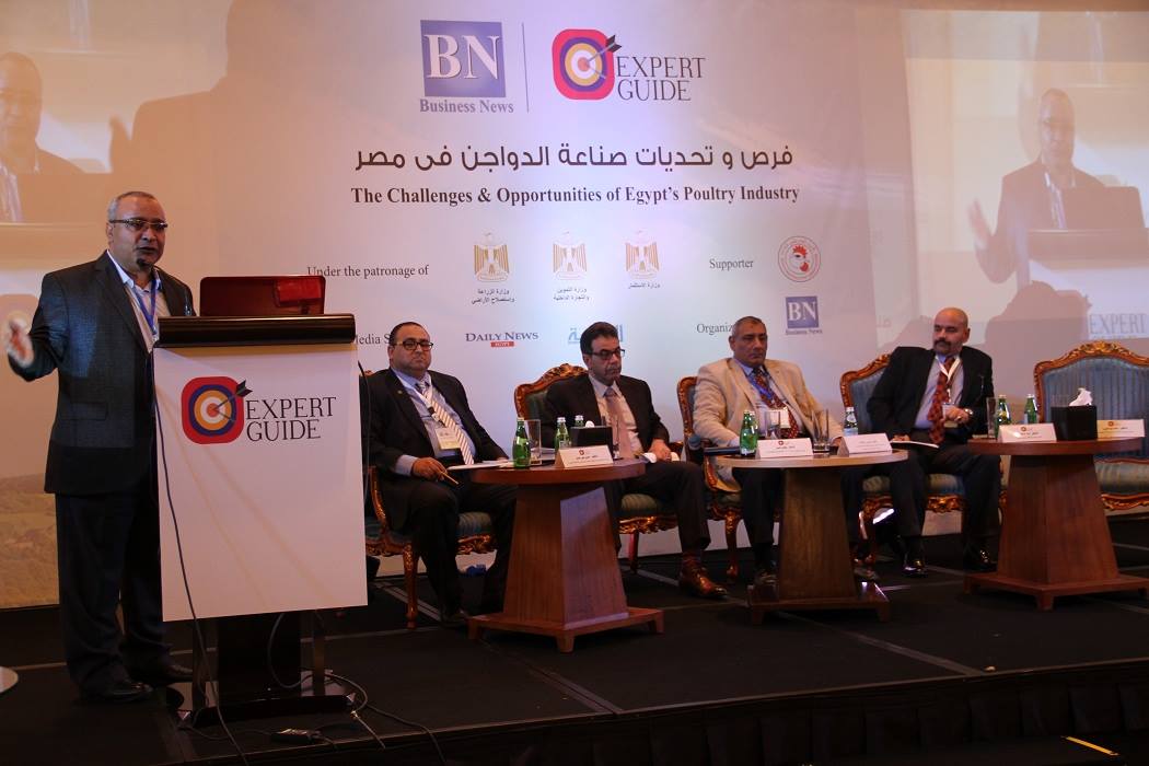 “الصناعات المكملة” فرس الرهان للنهوض بقطاع الدواجن