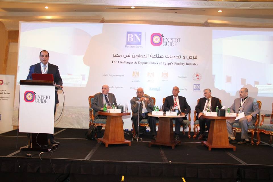 تخصيص الأراضى ومكافحة الأوبئة ودعم الصناعة أهم مطالب منتجى الدواجن من الحكومة