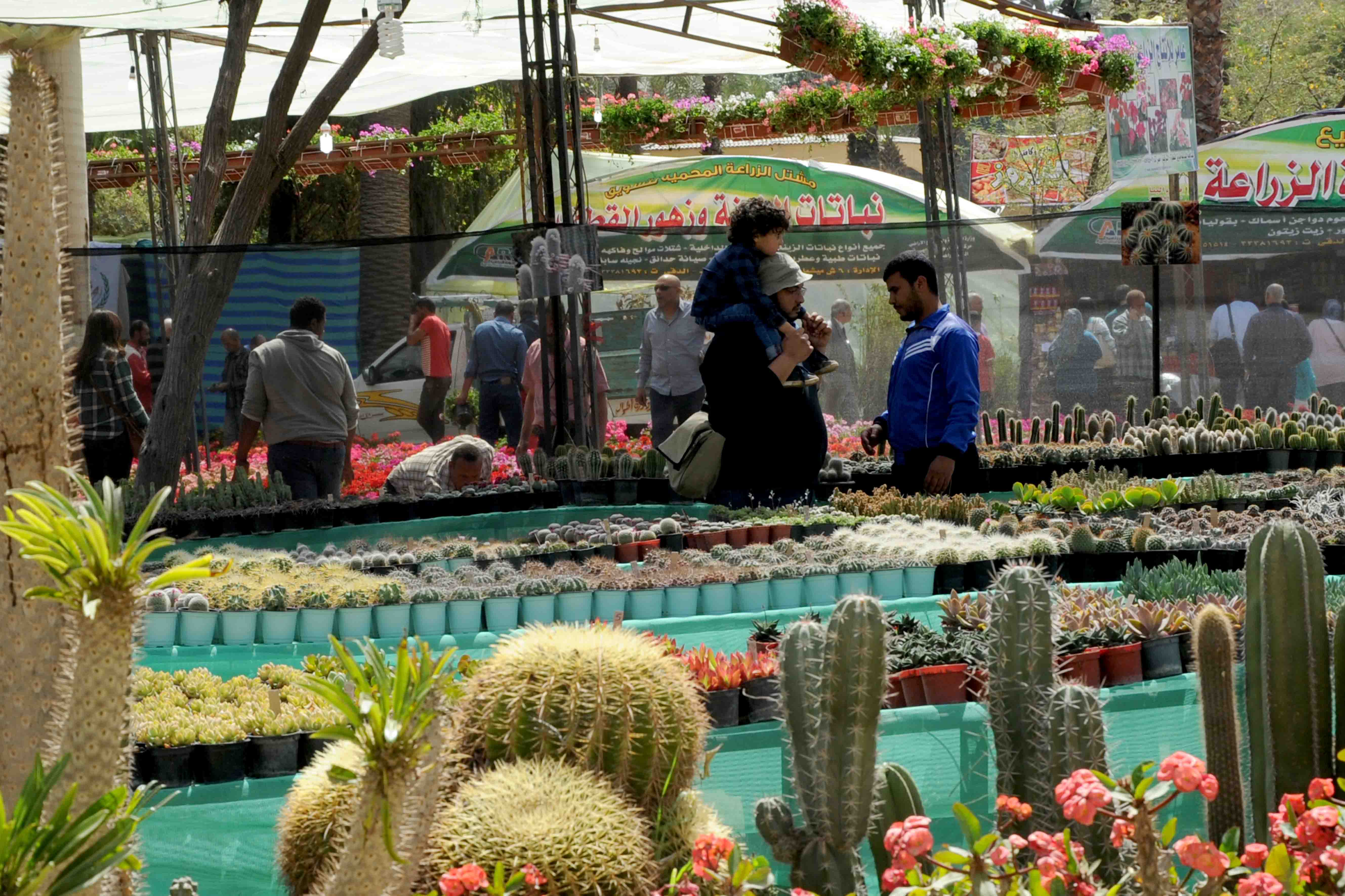 معرض زهور الربيع فى حديقة الأورمان