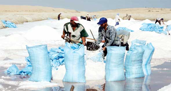 “المكس للملاحات” تسند إعداد دراسة جدوى مشروع إستخلاص الأملاح لـ “ku-tec” الألمانية