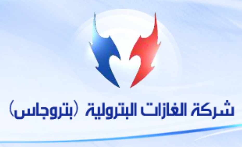 الإدارى يحيل دعوى “الغازات البترولية” ضد الإستثمار لـ”المفوضين”