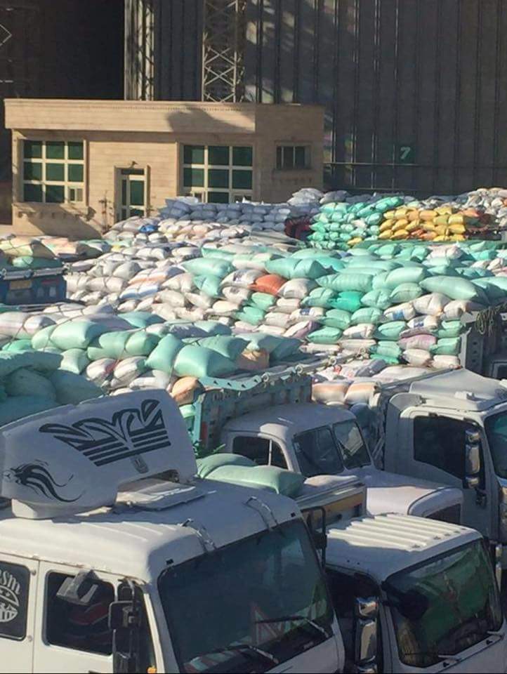 حلقة جديدة.. فروع “التنمية” ترفض استلام القمح من “التعاونيات” و”الرئيسى” يتعهد بالحل