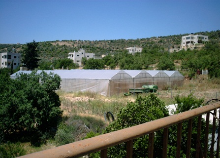 التكاليف الإدارية تلتهم 64% من أقساط التأمينات الزراعية بأفريقيا