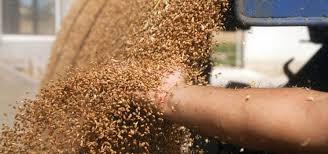 أسعار الأعلاف تتراجع عالمياً والطن يسجل 4900 جنيه محلياً