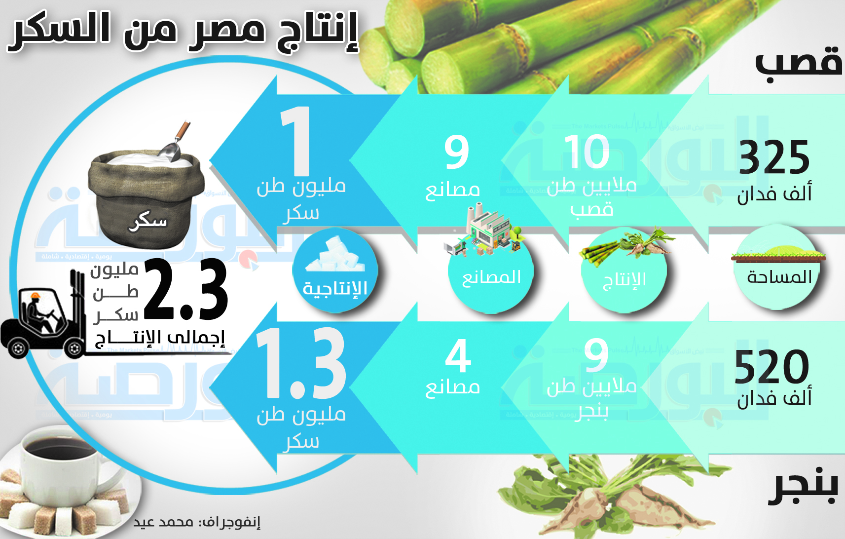 انفوجراف.. تعرف على انتاج مصر من السكر فى أرقام