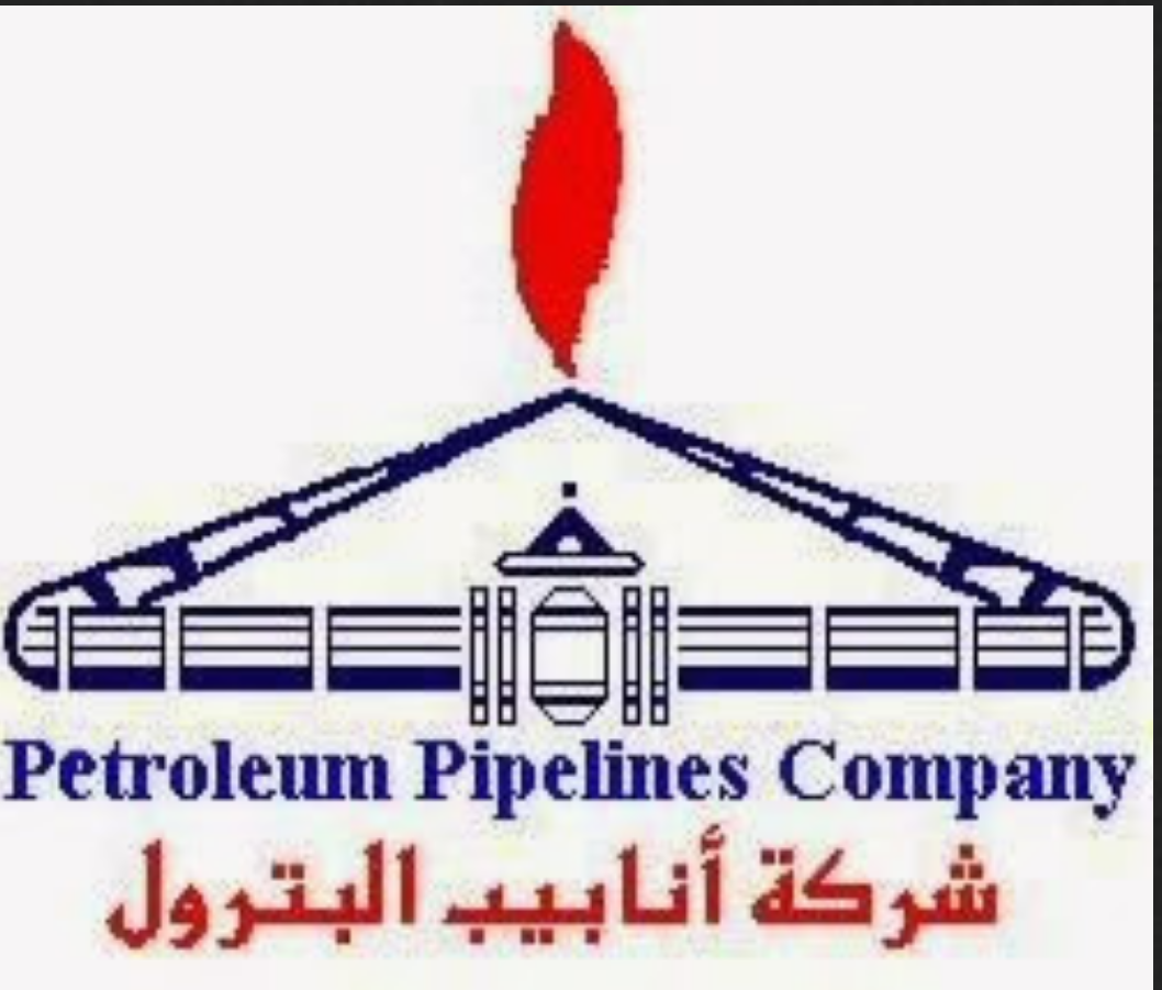 حافظ: شبكة خطوط الأنابيب تنقل 7.5 مليار طن وقود للمستودعات والمحطات