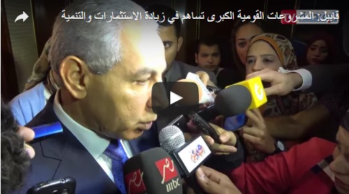 طارق قابيل، وزير الصناعة والتجارة الخارجية