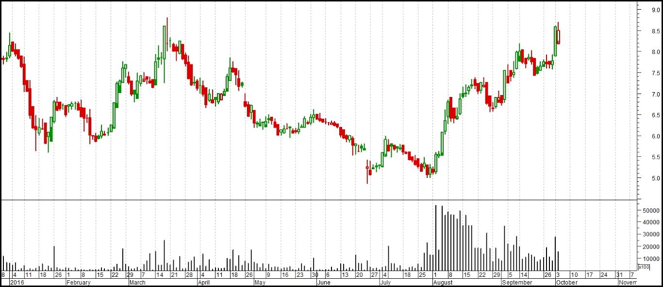 جانب من التداولات التاريخية والتحركات السعرية لسهم النساجون الشرقيون
