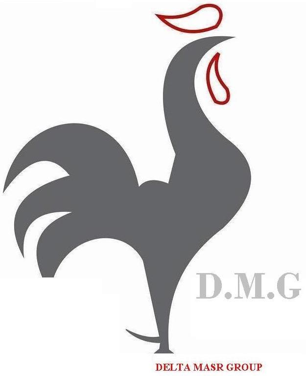 “الدلتا للدواجن” تستهدف 25 مليون كتكوت تسمين