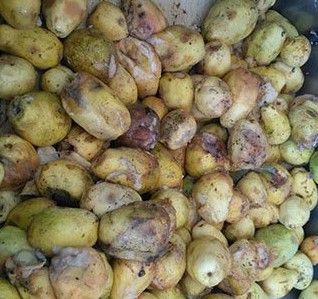 “فوديكو”: النيابة لم توجه اتهام للشركة بخصوص الجوافة الفاسدة