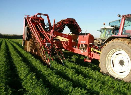 هاى تك الهندية