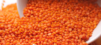 %25 زيادة فى أسعار الحبوب .. والعدس يسجل 18 ألف جنيه للطن