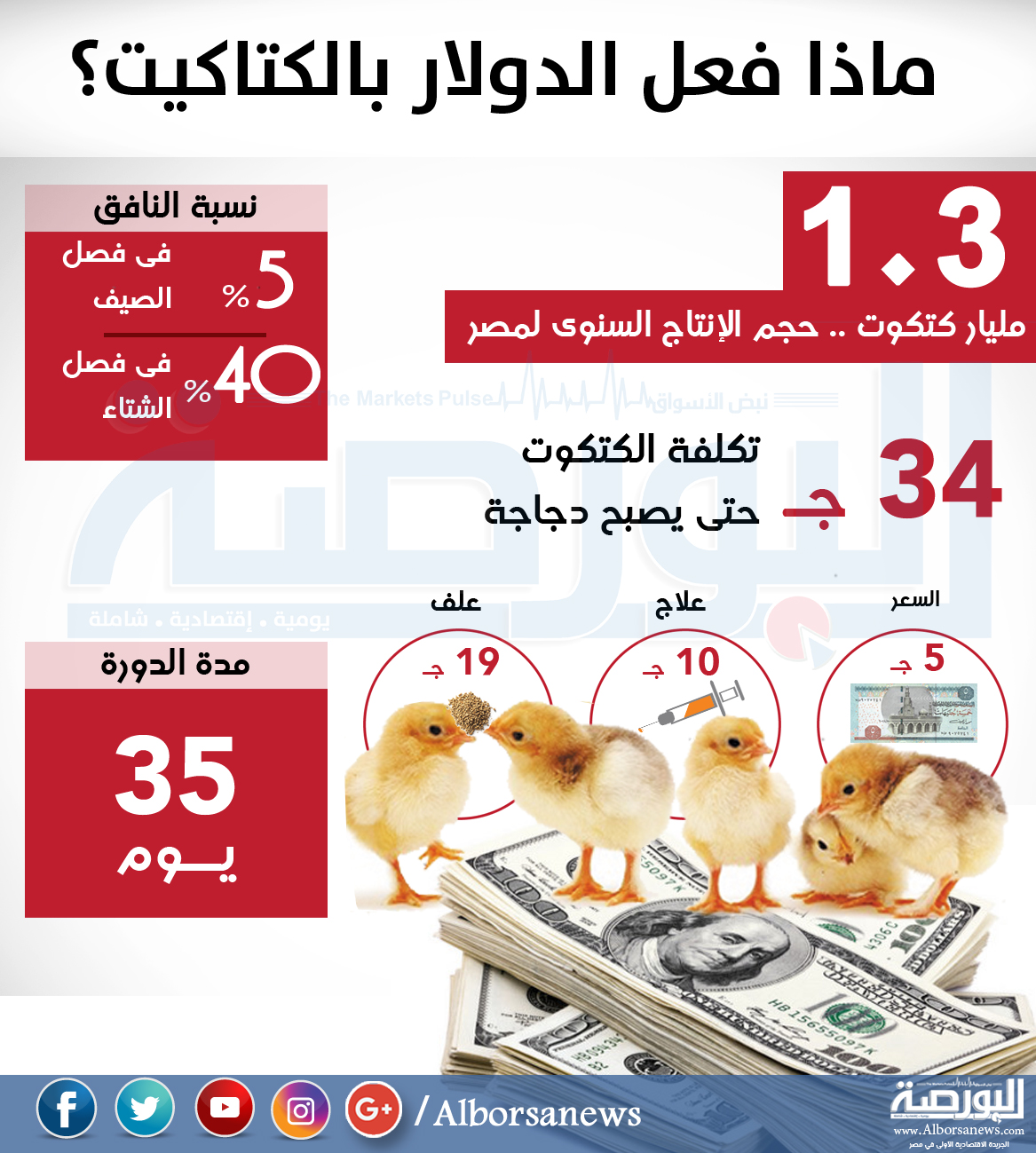 دورة الكتكوت