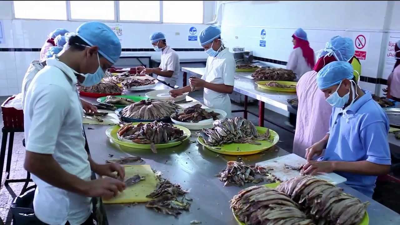 سمرمون لانتاج الاسماك- صورة ارشيفية