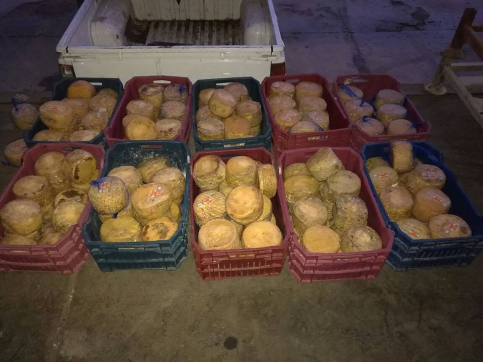 ضبط كمية كبيرة من الجبنة الرومى الفاسدة بمصنع فى مدينة دمياط الجديدة