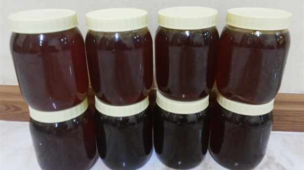 “المنيا” توقع اتفاقا مع وزارة التجارة والصناعة لبدء تشغيل مصنع العسل الأسود بملوي