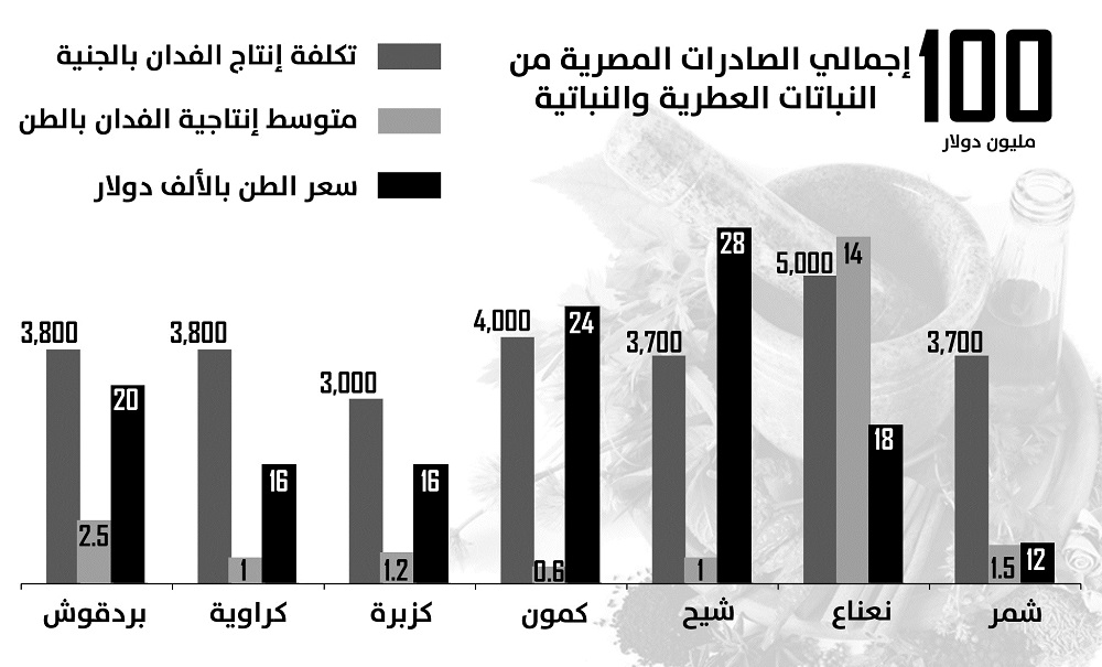 النباتات الطبية والعطرية.. مصدر غير مُستغل للعملة الصعبة