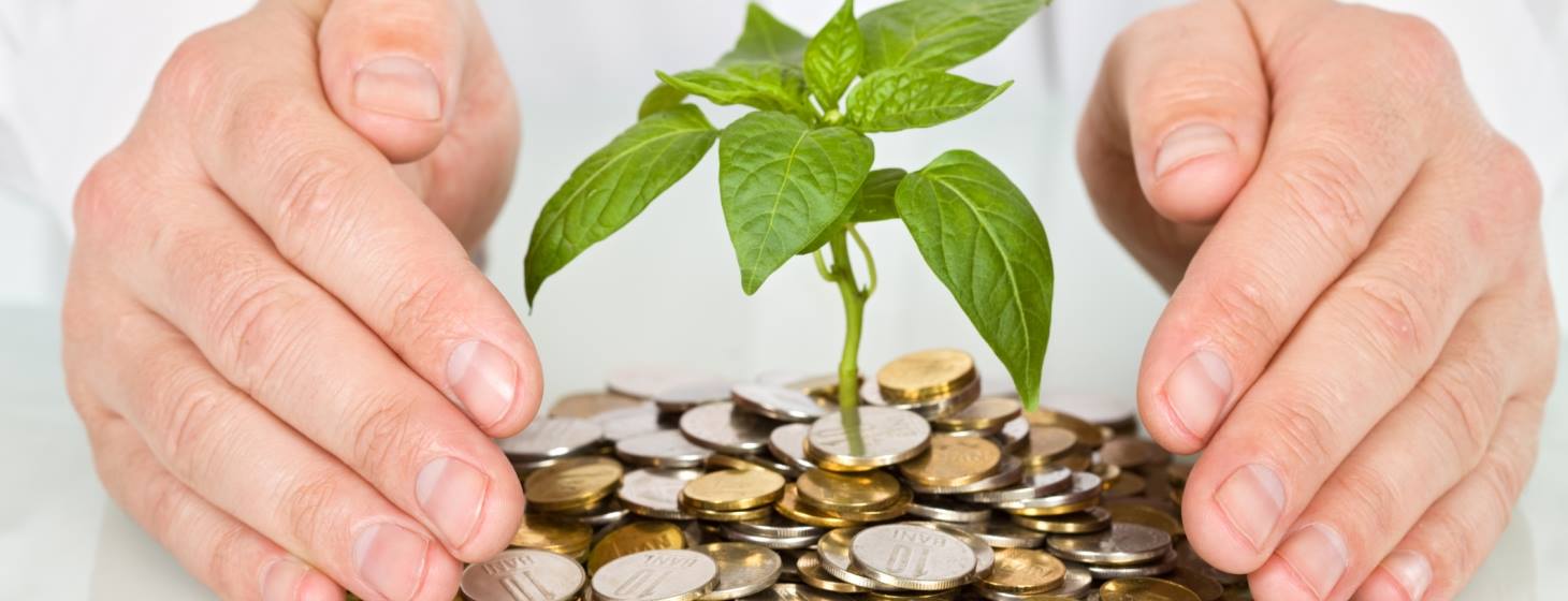 “سيرفند” لخدمات الإدارة تتوسع بالأسواق العالمية لتعويض التراجع المحلي