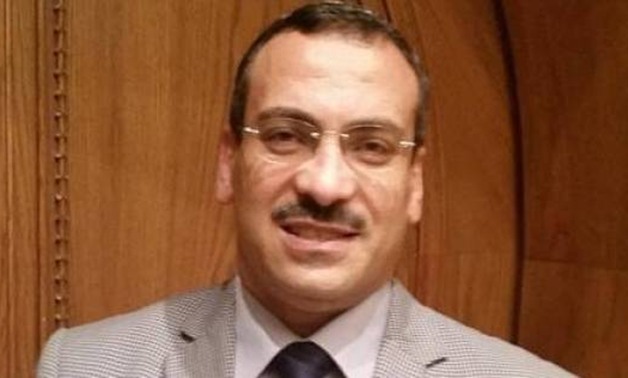 علاء سليم أمين عام اتحاد المصريين في الخارج