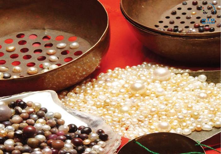 125 % ارتفاعا بقيمة اللؤلؤ والأحجار الكريمة المعاد تصديرها من أبوظبي