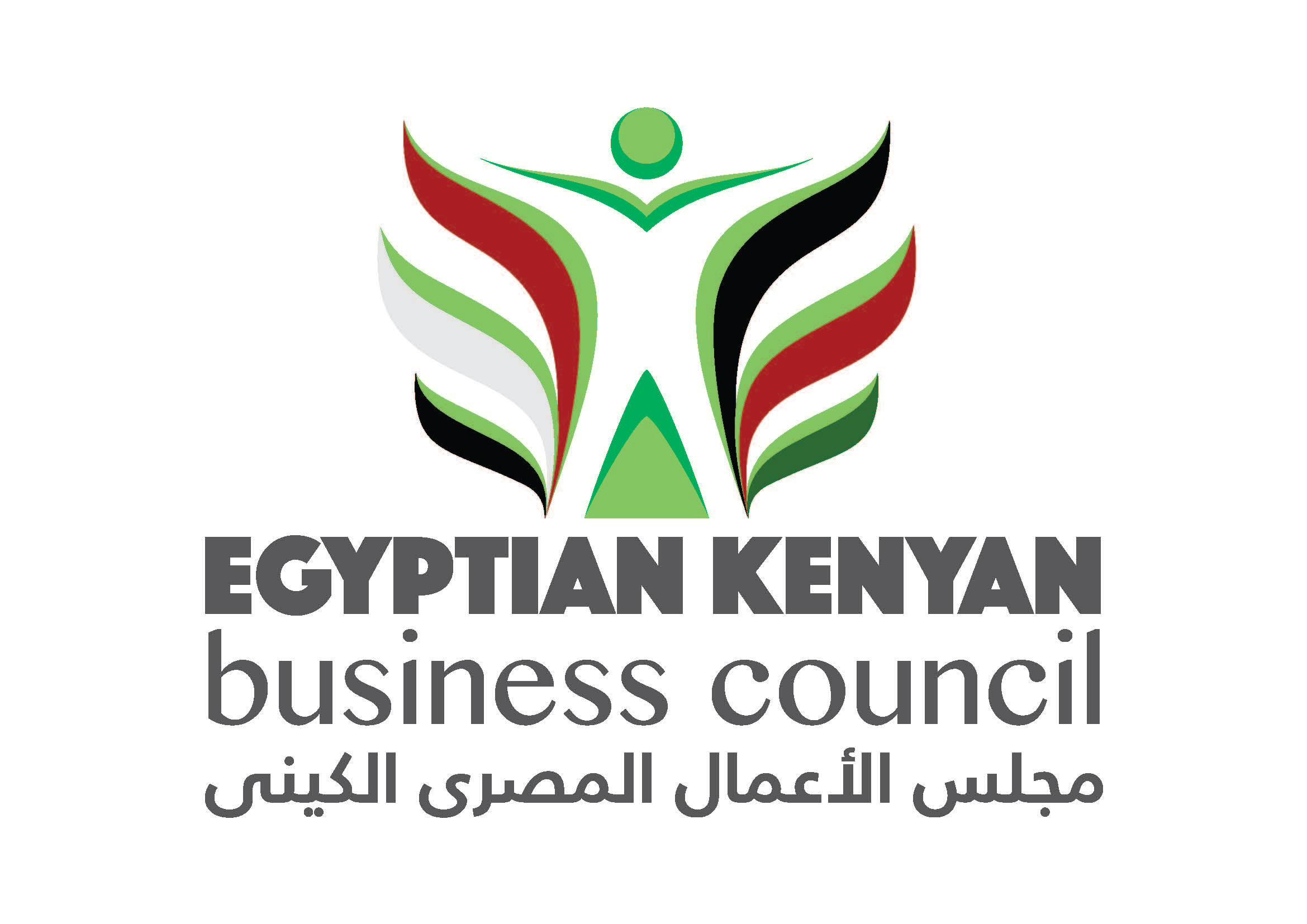 ” المصري الكيني ” يلتقي وزير الري لوضع اخر لمسات البعثه الترويجيه لكينيا