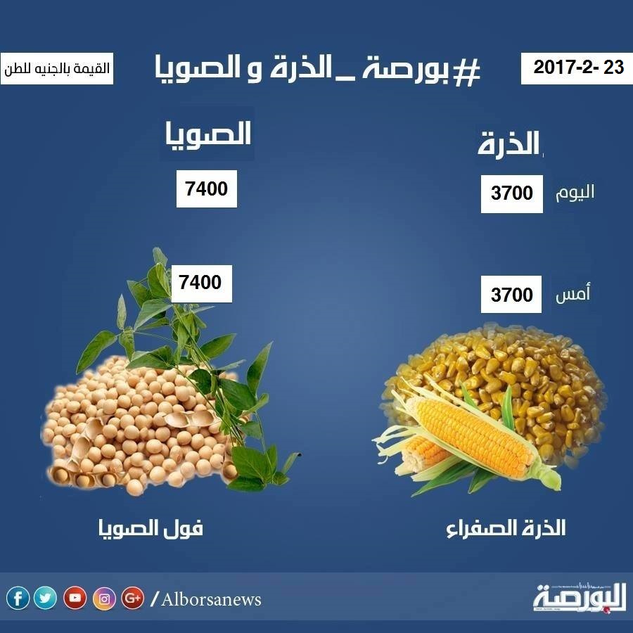 اسعار الذرة والصويا اليوم الخميس 23 فبراير