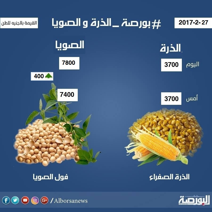 اسعار الذرة والصويا اليوم الإثنين 27 فبراير