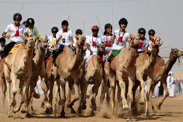 بالصور.. فعاليات “مهرجان سلطان بن زايد التراثي 2017