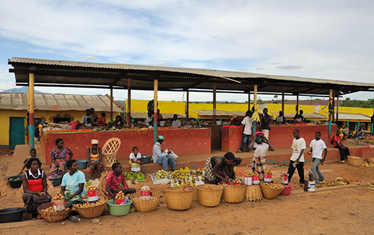 زيادة الدخل تدعم الدول النامية فى إعادة صياغة العولمة