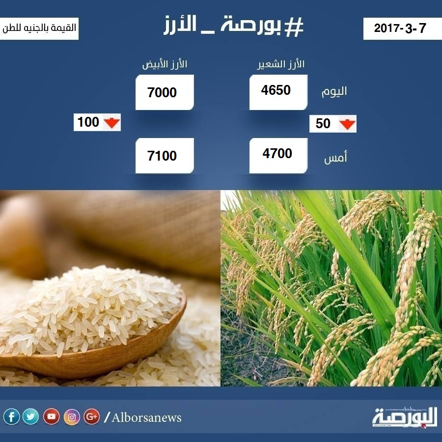 اسعار الأرز الثلاثاء 7 مارس