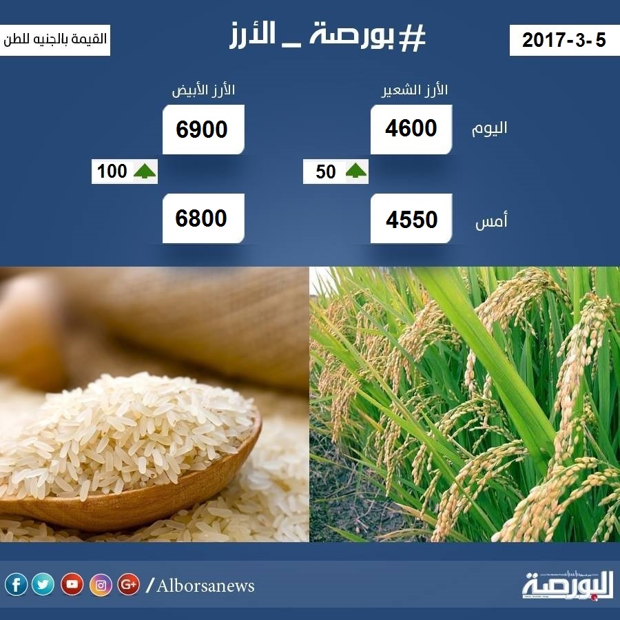 اسعار الأرز الاحد 5 مارس