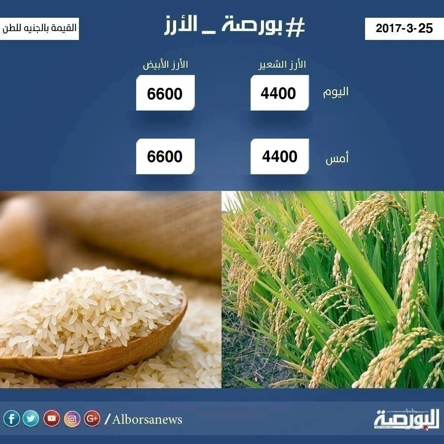 اسعار الارز السبت 25 مارس