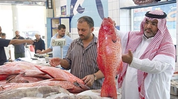 الاسماك في السعودية