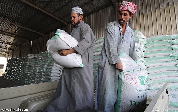 السعودية تتعاقد على استيراد 1.5 مليون طن شعير مقابل 283 مليون دولار