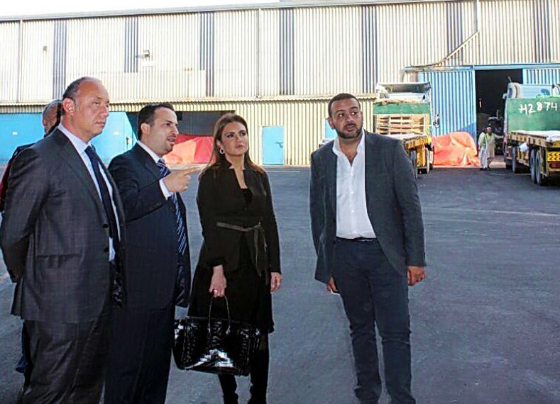 وزيرة الاستثمار