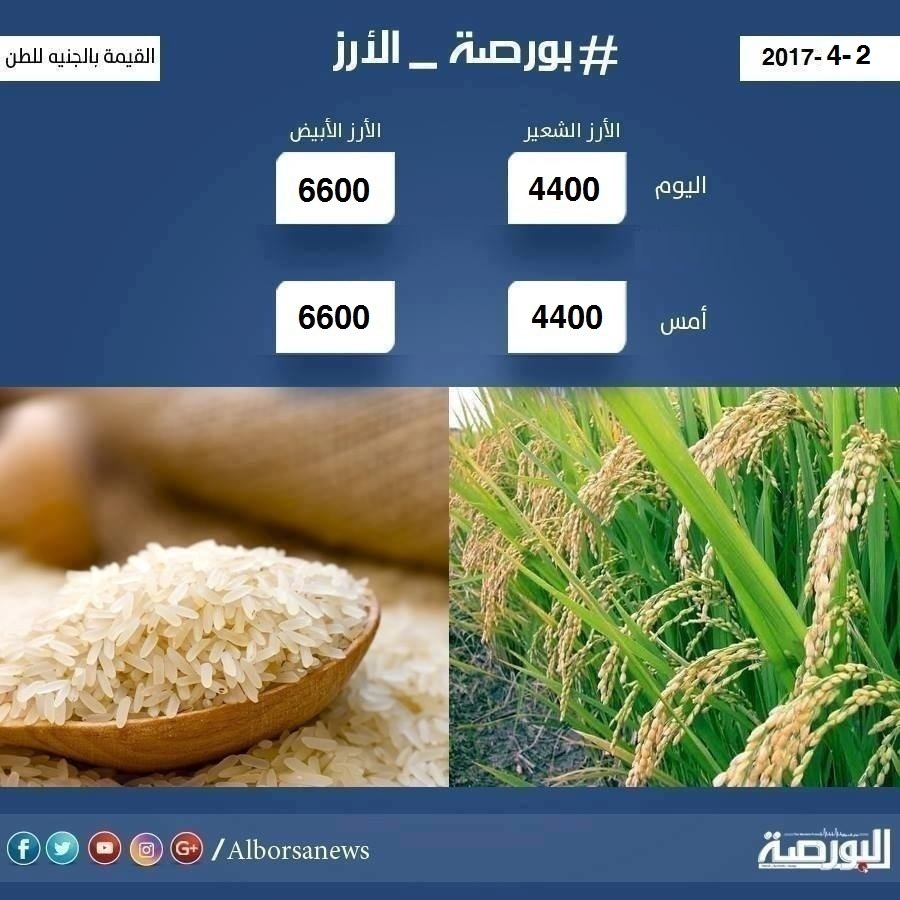 اسعار الارز الاحد 2 ابريل