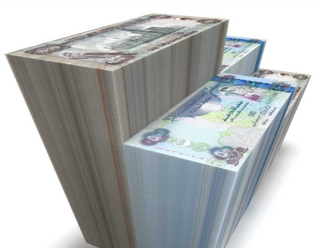 20% نمواً شهريا فى أرصدة وودائع المركزى الإماراتي لدى البنوك خارجياً