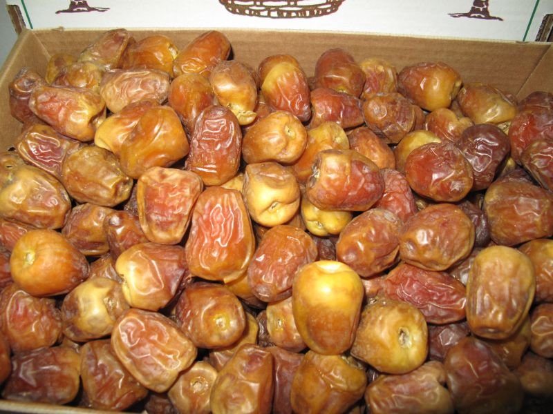 134 مصنعا سعوديا يبدأ استقبال 600 ألف طن تمور