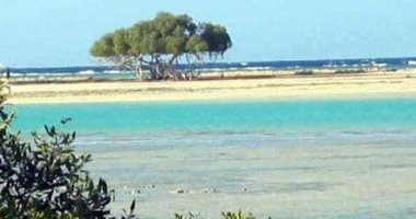 مزايدة عالمية للاستثمار فى محمية وادى الجمال