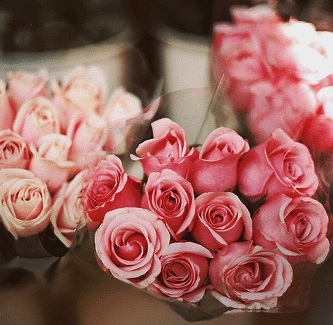 “ورود دوت كوم” يتوسع فى السعودية وقطر لخدمة المغتربين