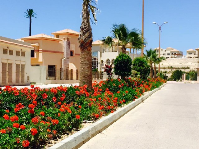 صورة ارشيفية